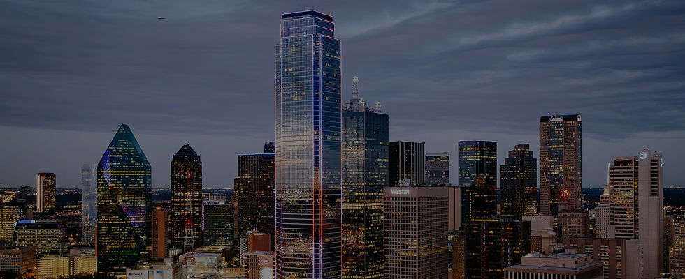 Dallas city cleaning tidydillo.jpg