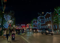 Grapevine, TX TidyDillo