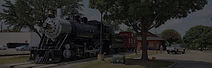 Allen, TX TidyDillo