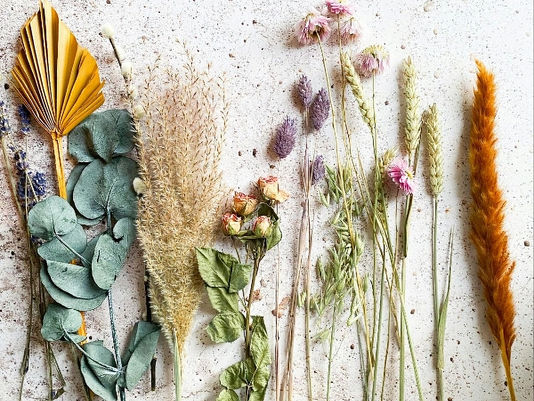 A set of dried flowers and greenery