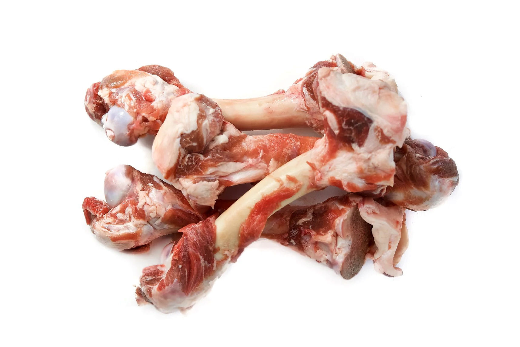 Bones for Pets