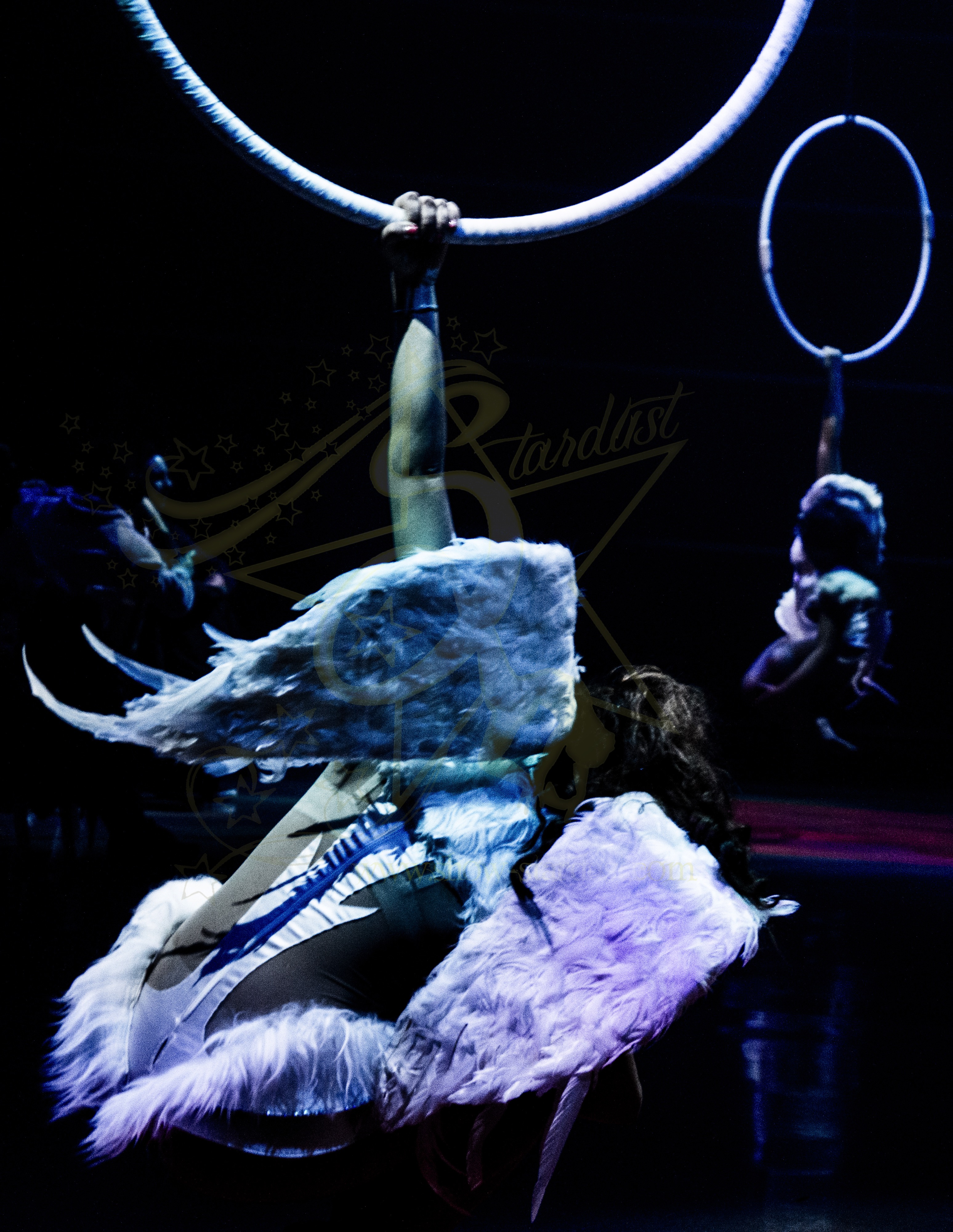 AERIAL HOOP