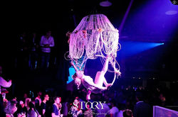 AERIAL CHANDELIER