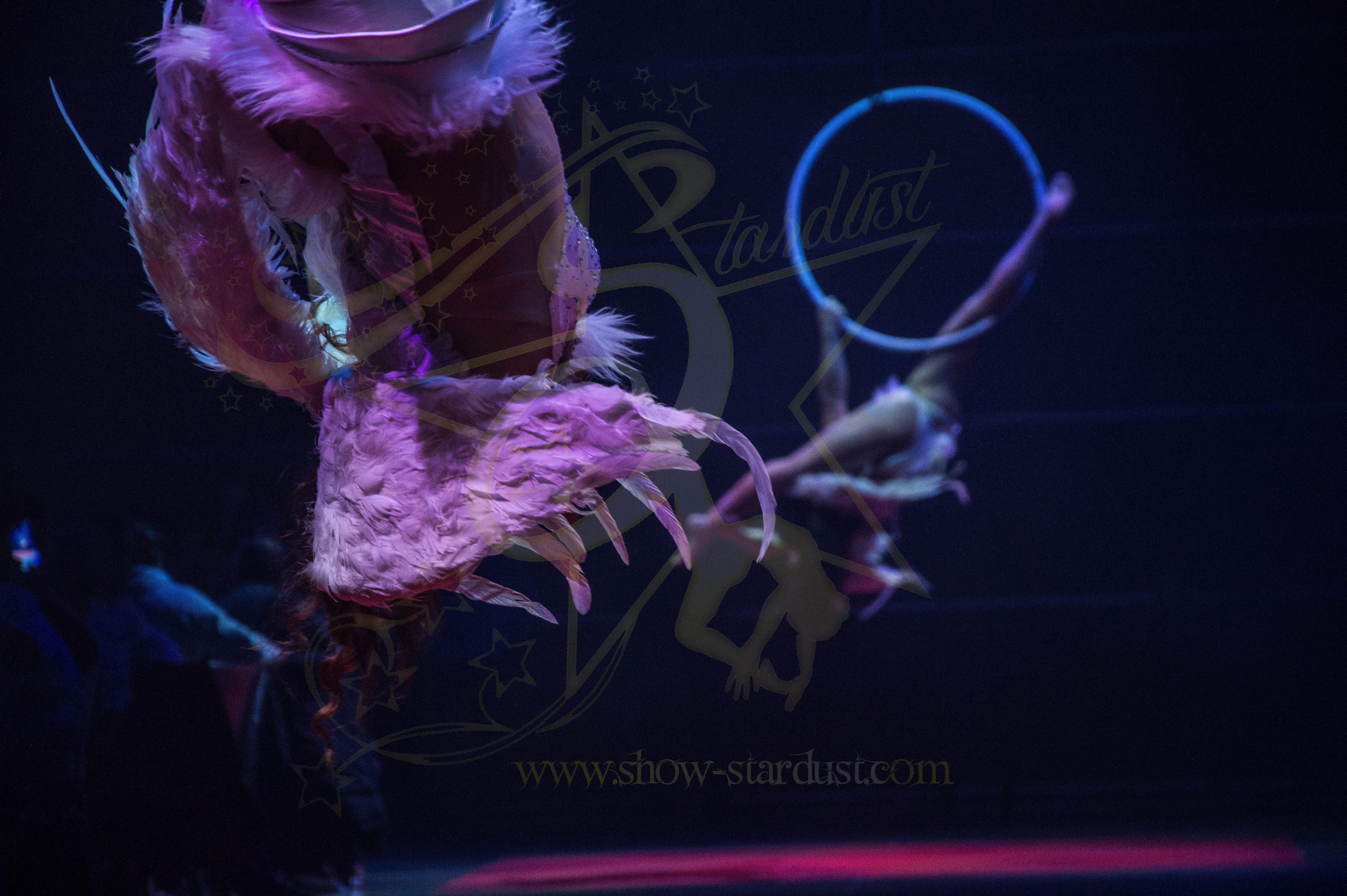 AERIAL HOOP