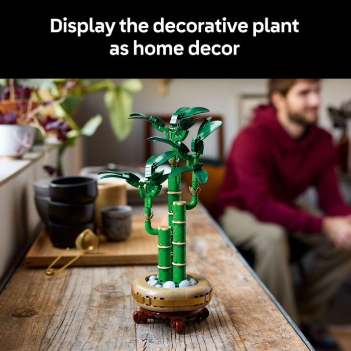 Thumbnail: Lucky Bamboo Building Set - Artificial Plant for Indoor Home Décor