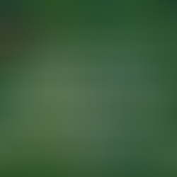 Environmental Series: Go Beyond Earth Day - April 22nd