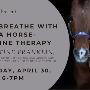 Just Breathe with a Horse: Equine Therapy at Dragon Tale Books - April 30th