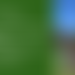 Menomonie Public Library Earns 2026 Friends of Forestry Award