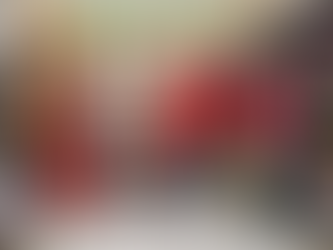 Mr. and Mrs. Claus at Ace Hardware - December 13th