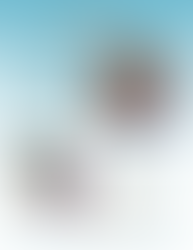 Author Visit at Menomonie Public Library: Tom Manus & Kristi Flick Manus - January 13th