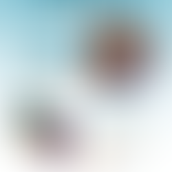 Author Visit at Menomonie Public Library: Tom Manus & Kristi Flick Manus - January 13th