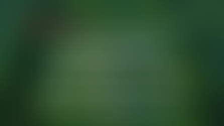 Environmental Series: The City for the Trees - March 24th