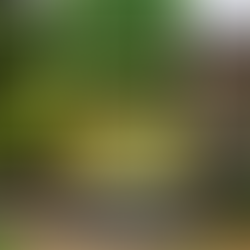 Midwest Disc Golf Expo at WoodWind Park - March 28th