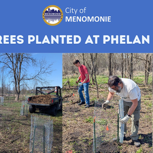 300 Trees Planted at Phalen Park