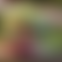 Succulent Patio Planter at Hive & Hollow - May 19th