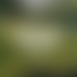 Tanglewood Season Kickoff and MHS Golf Fundraiser - April 18th