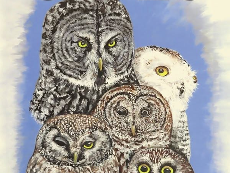 A Charisma of Owls with Lynn Barber & Annual Meeting - November 5th