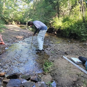 Creek restoration, data center viewpoints, sustainability researched by LAKES REU students at UW-Stout Polytechnic