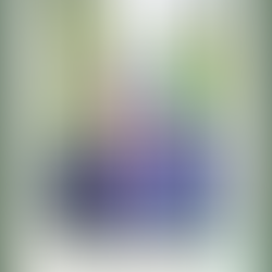 Douglas Van Blaricom