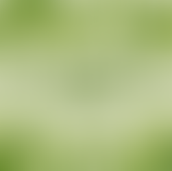 St. Patrick's Day Shuttle Tour - March 17th