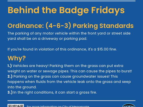 Behind the Badge Fridays: Parking Standards