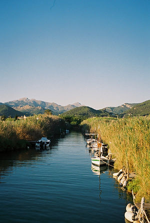 R1-08118-0022.JPG.jpg