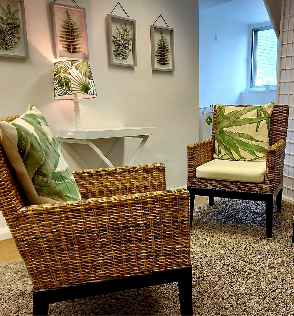 The Therapeutic Space in the Java Room at Kingsley House