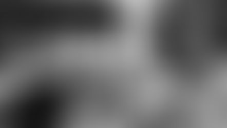 4 Reasons to Have a Micro Wedding