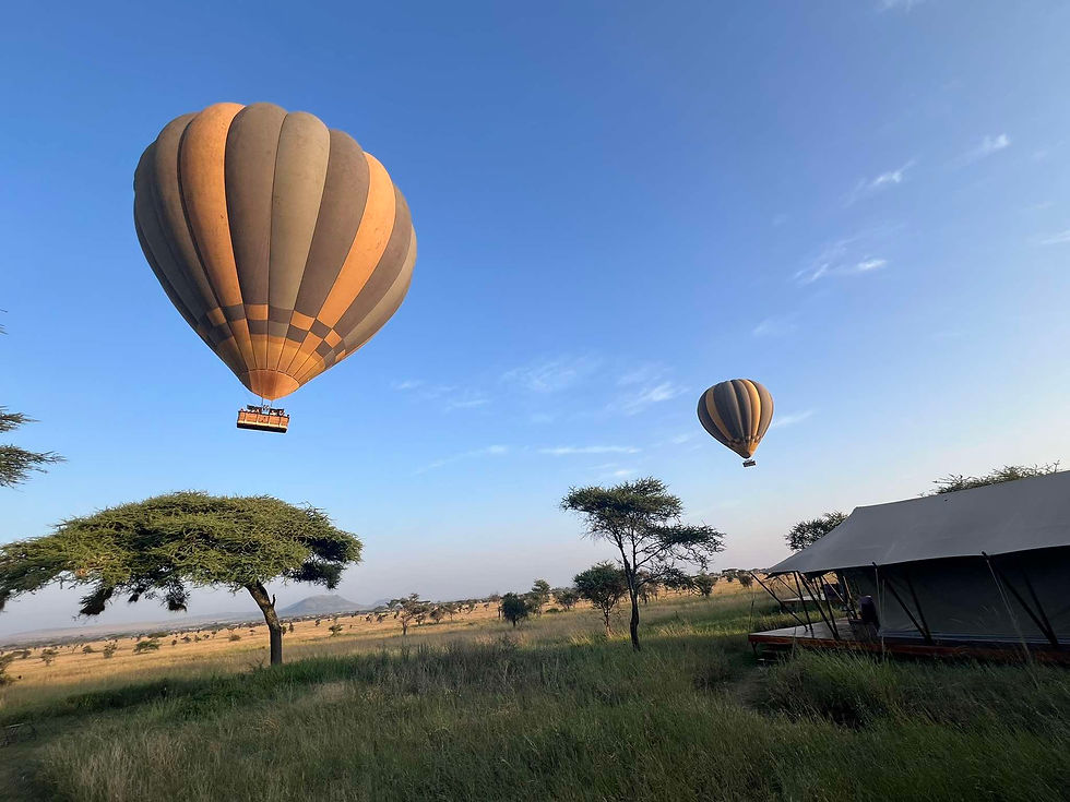 Sunrise hot air balloons over camp in the Central Serengeti.