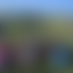 Leeds local approach by Scent Salim and Champions Football