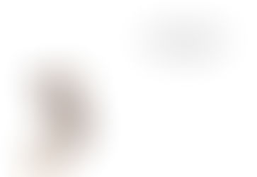 Day 64: Leaf Tailed Gecko