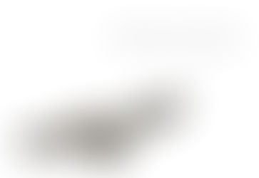 Day 77: California Condor