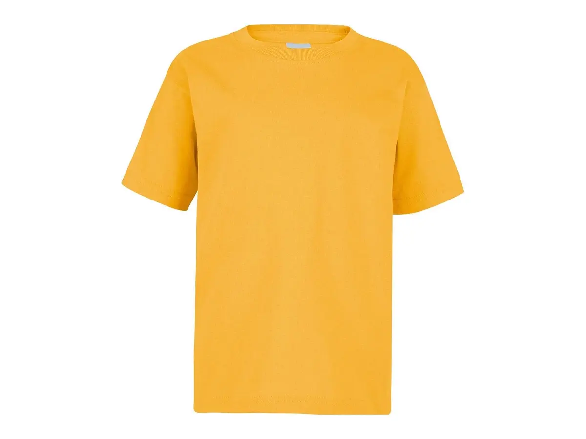 Playera cuello redondo N0300 - unisex para niño