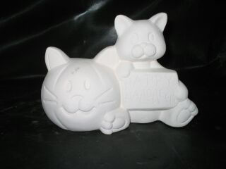 Cat with fat pumpkin