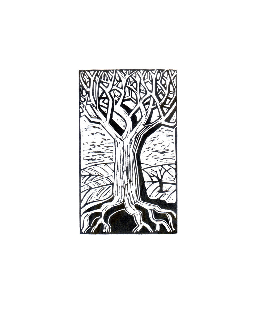 Ancient Tree - $30