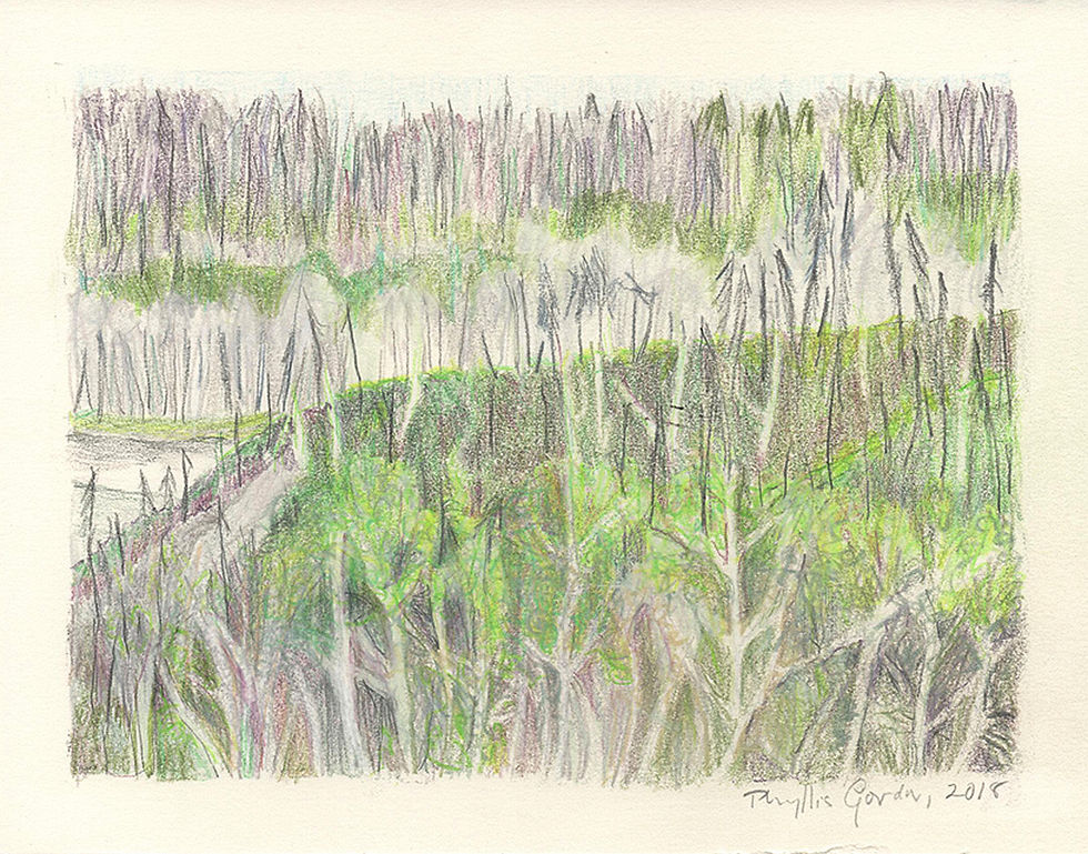 Fort McMurray Postcard No. 2