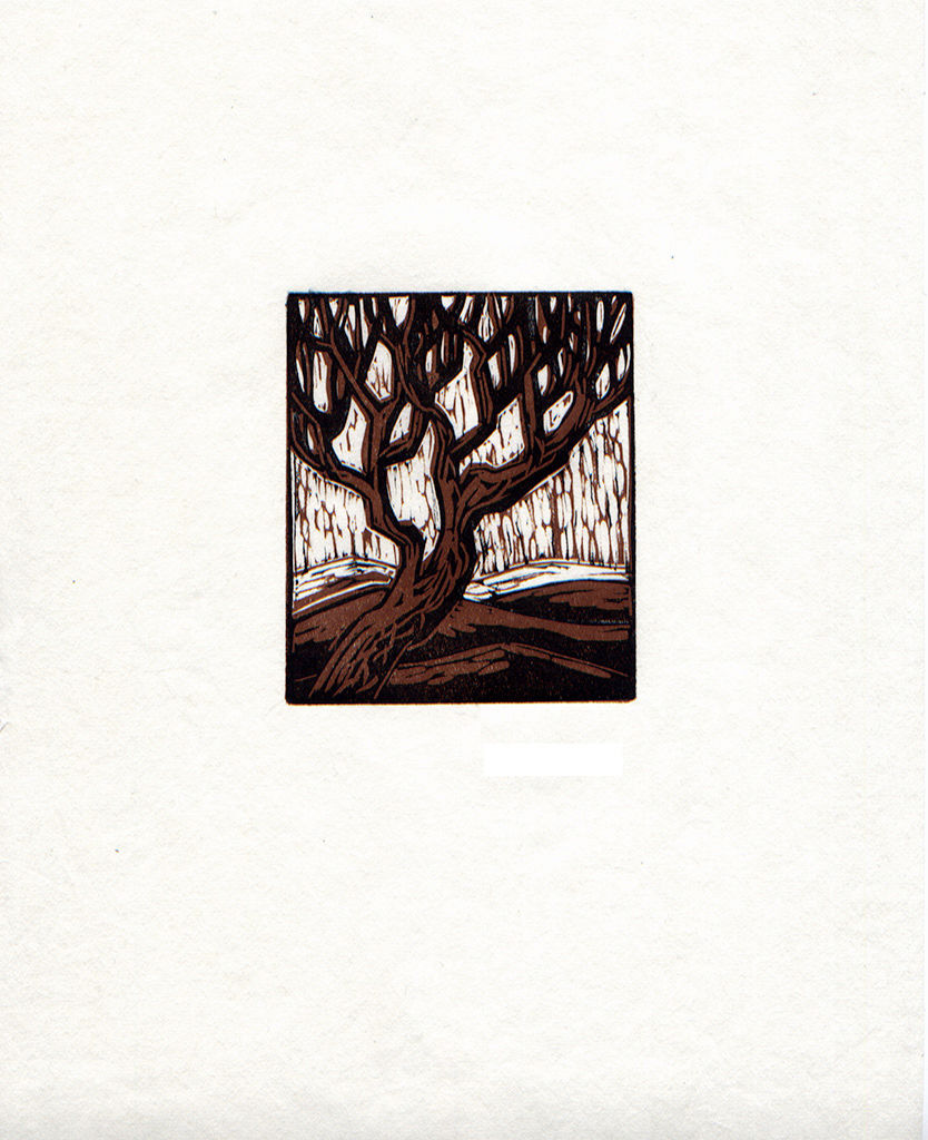 Another Tree - $35