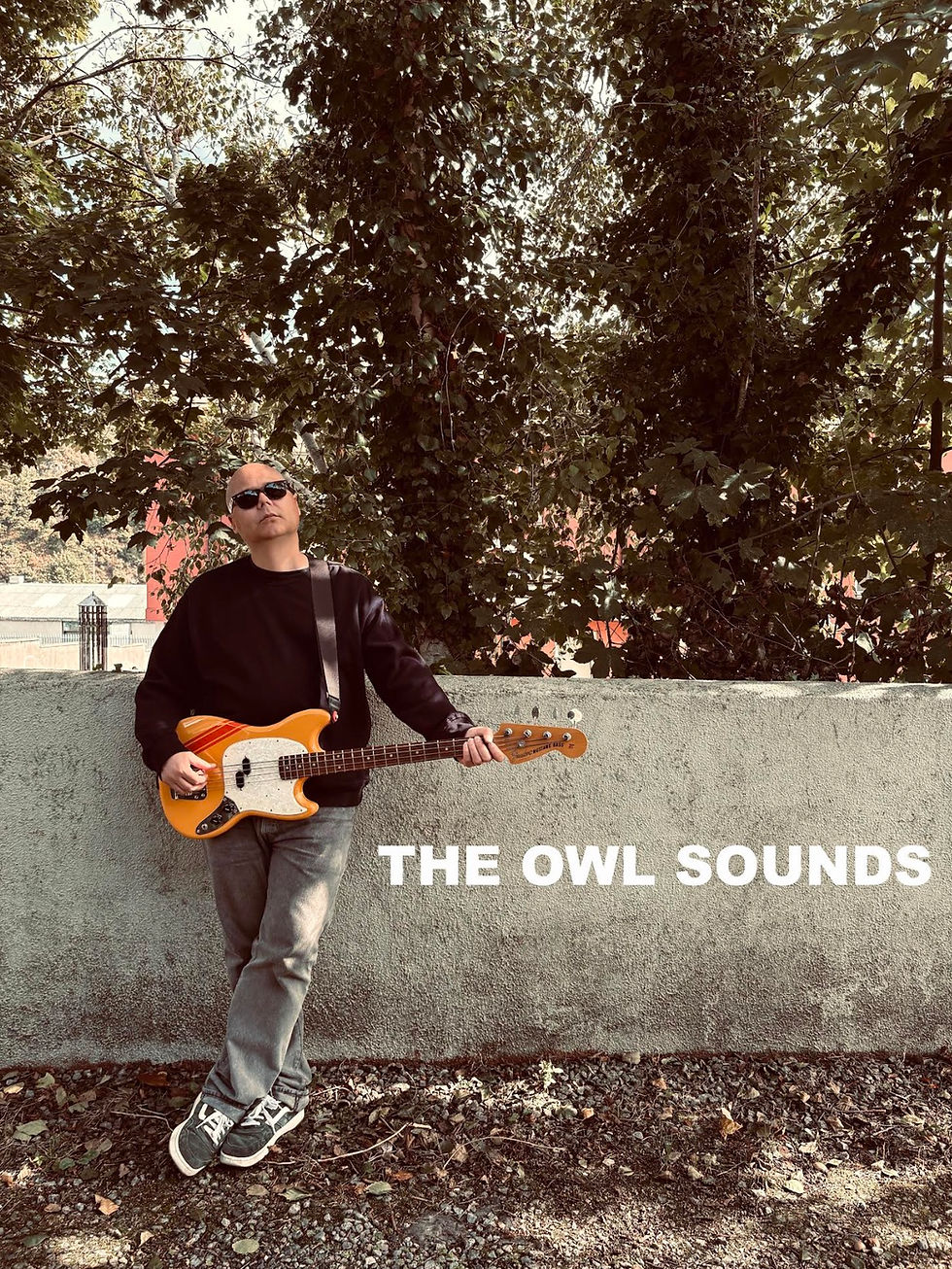 Phil Wyer the multi-instrumentalist and song writer behind The Owl Sounds