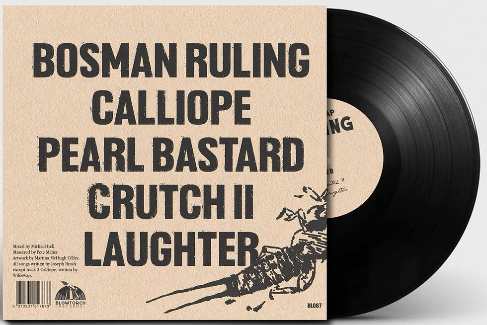 Back cover of Dublin band Wifeswap vinyl record Digging