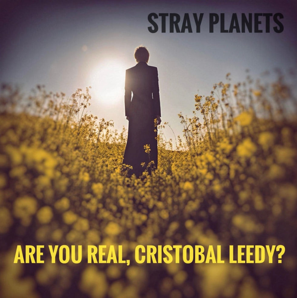 Album artwork for Stray Planets debut EP Are You Real, Christobal Leedy?