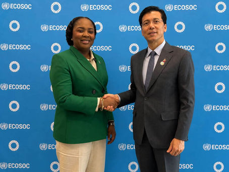 Haïti obtient le soutien de l’ECOSOC pour préparer sa feuille de route vers les objectifs de développement durable