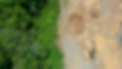 brand turbo.png