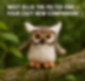 owlpick.jpg