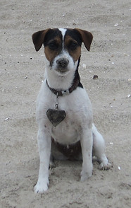 Sommer 2011 273.jpg
