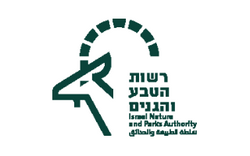 רט"ג