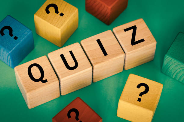 Homaar WETTEREN - vakantie atelier - De grote Homaar Quiz