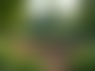 Why Land Systems West is the Unrivaled Leader in Septic System Installation for Douglas County