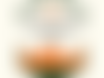 Understanding the Importance of Soil Testing for Colorado Septic Systems