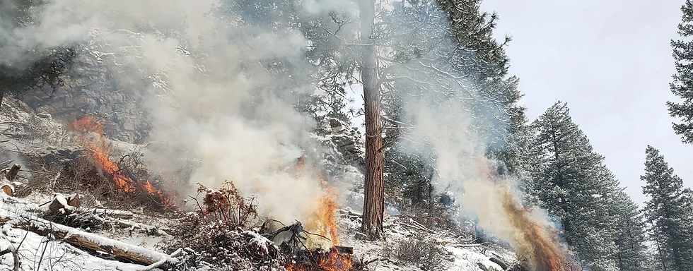 wildfire mitigation and fuel reduction