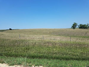pasture seeding for equestrians